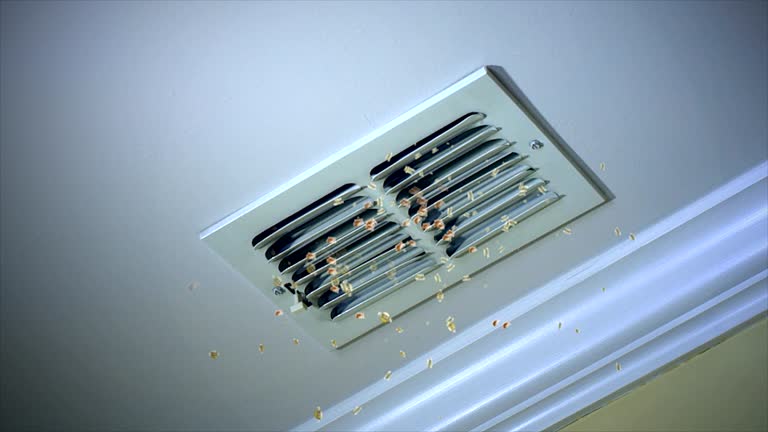 Best HVAC Duct Inspection Services  in Greenville, IN