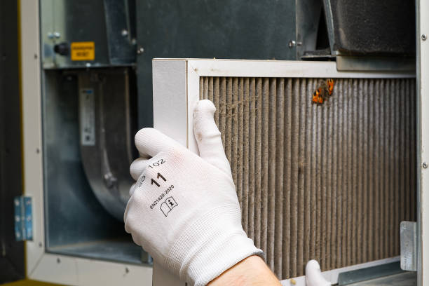Best Local Air Duct Cleaning Services  in Greenville, IN